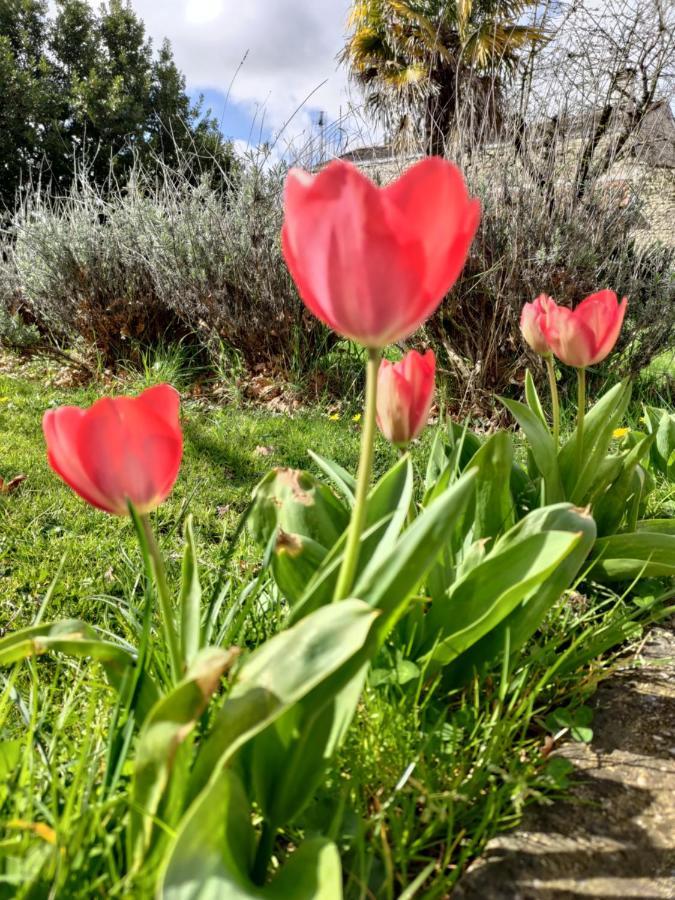 Au Clos Des Figues Otel Chambon  Dış mekan fotoğraf