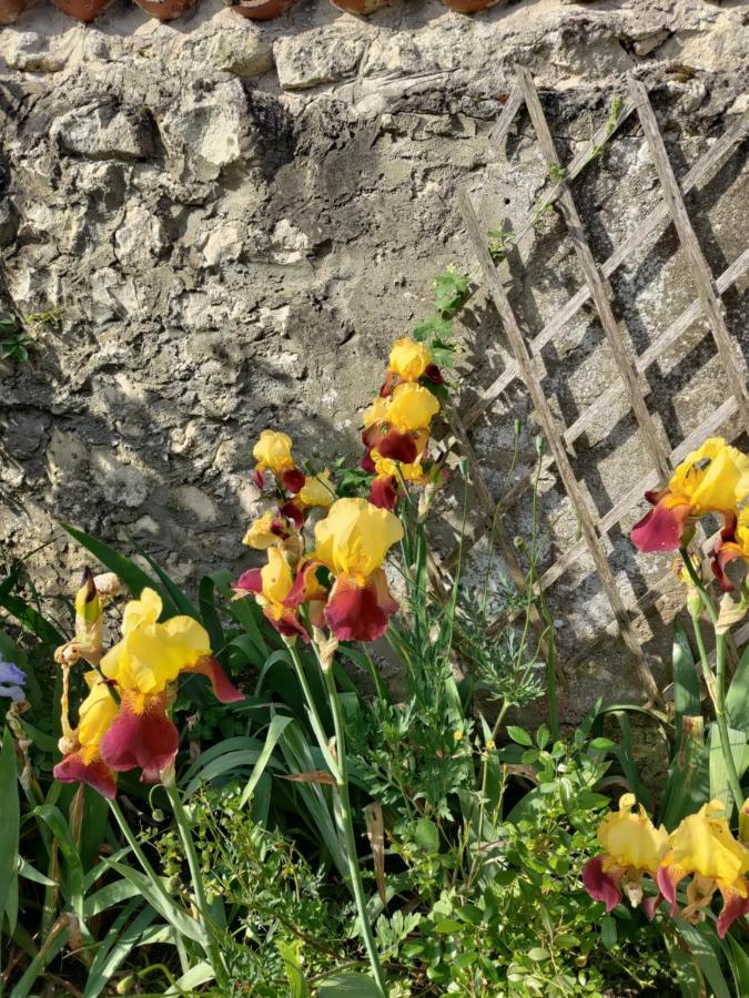 Au Clos Des Figues Otel Chambon  Dış mekan fotoğraf